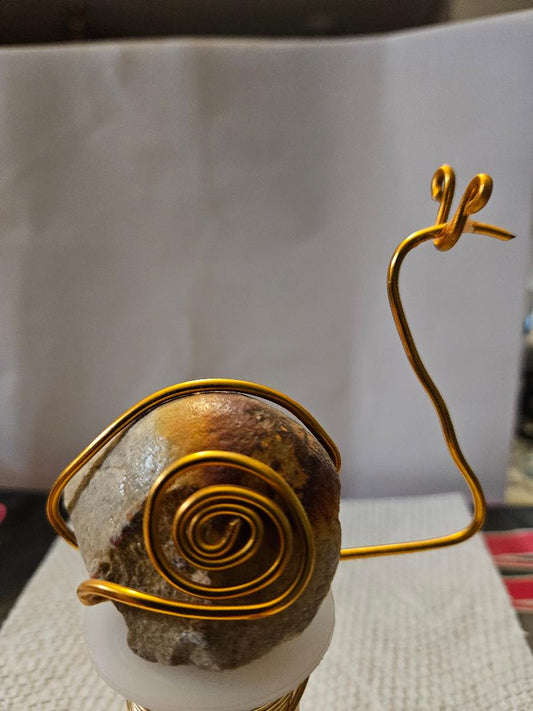 Rock and Wire Snail2